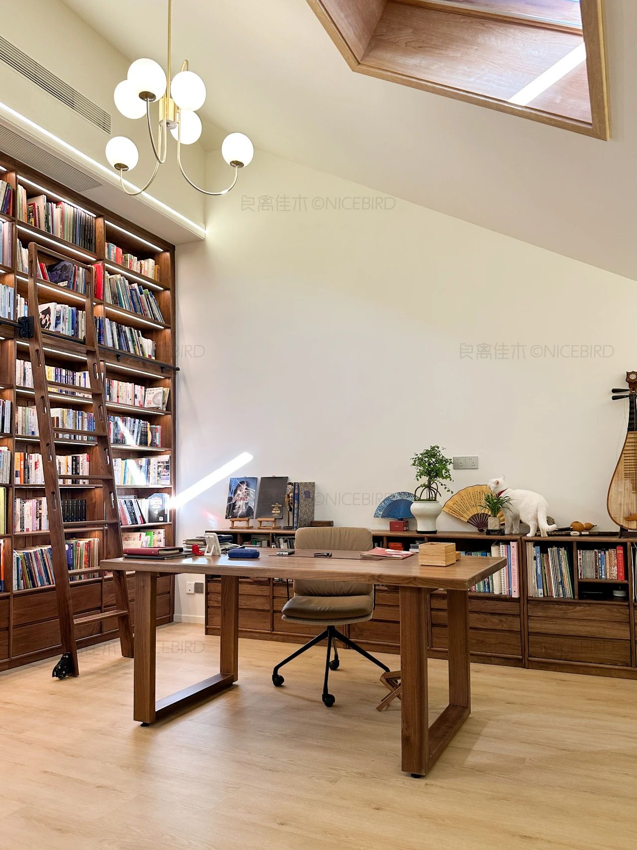 屋顶作窗，天空为景，上海业主的阁楼图书馆会发光啊