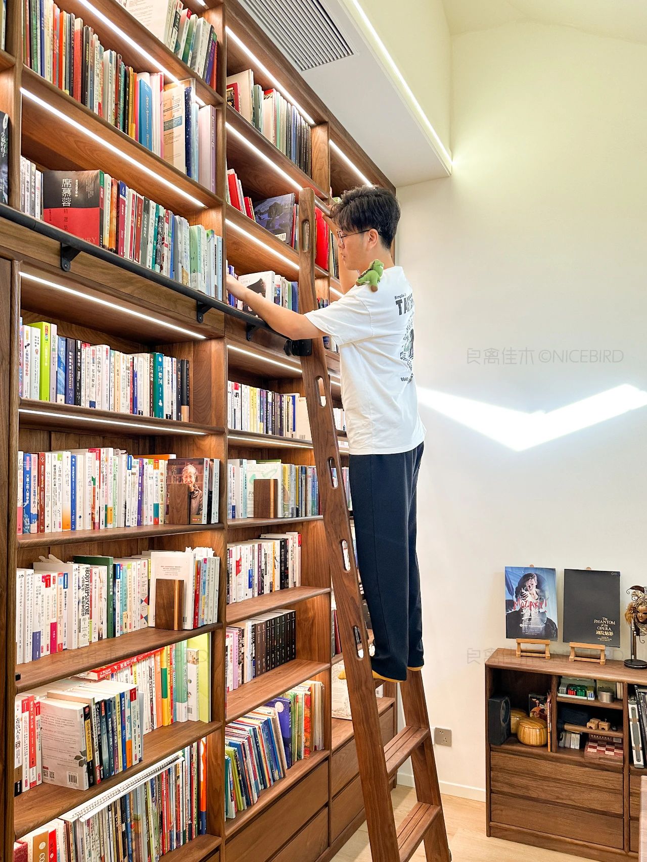 屋顶作窗，天空为景，上海业主的阁楼图书馆会发光啊