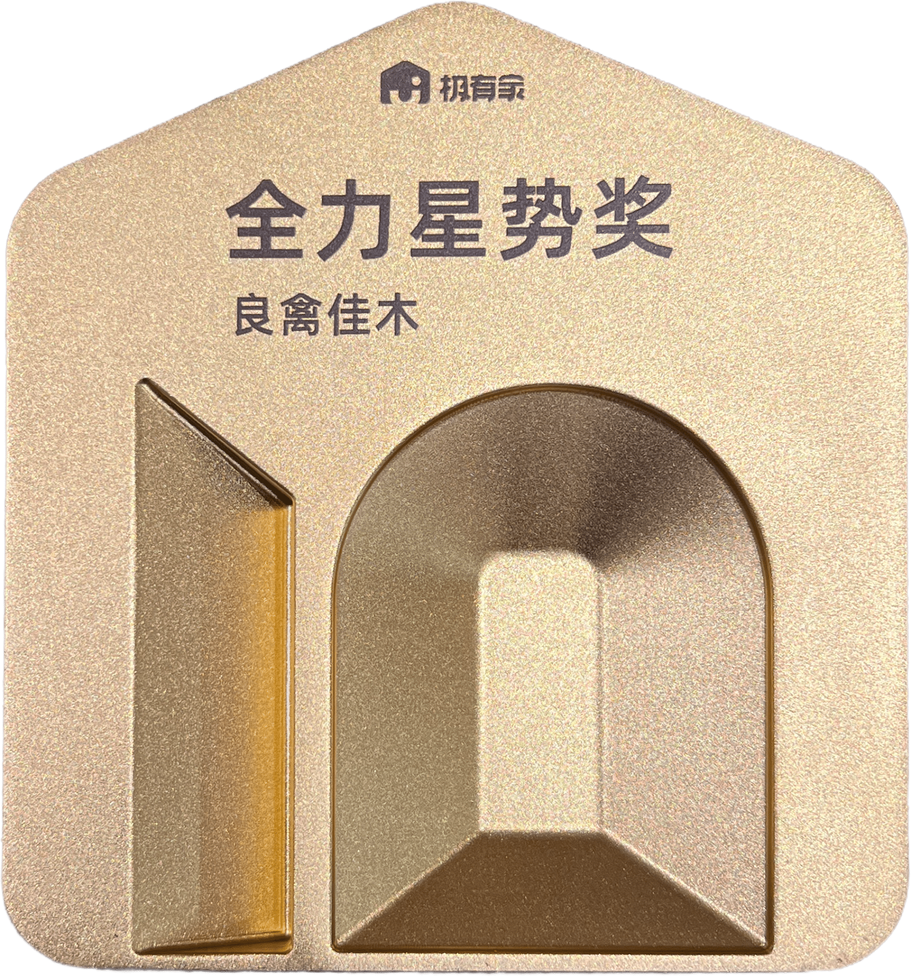 极有家全力星势奖奖牌实拍