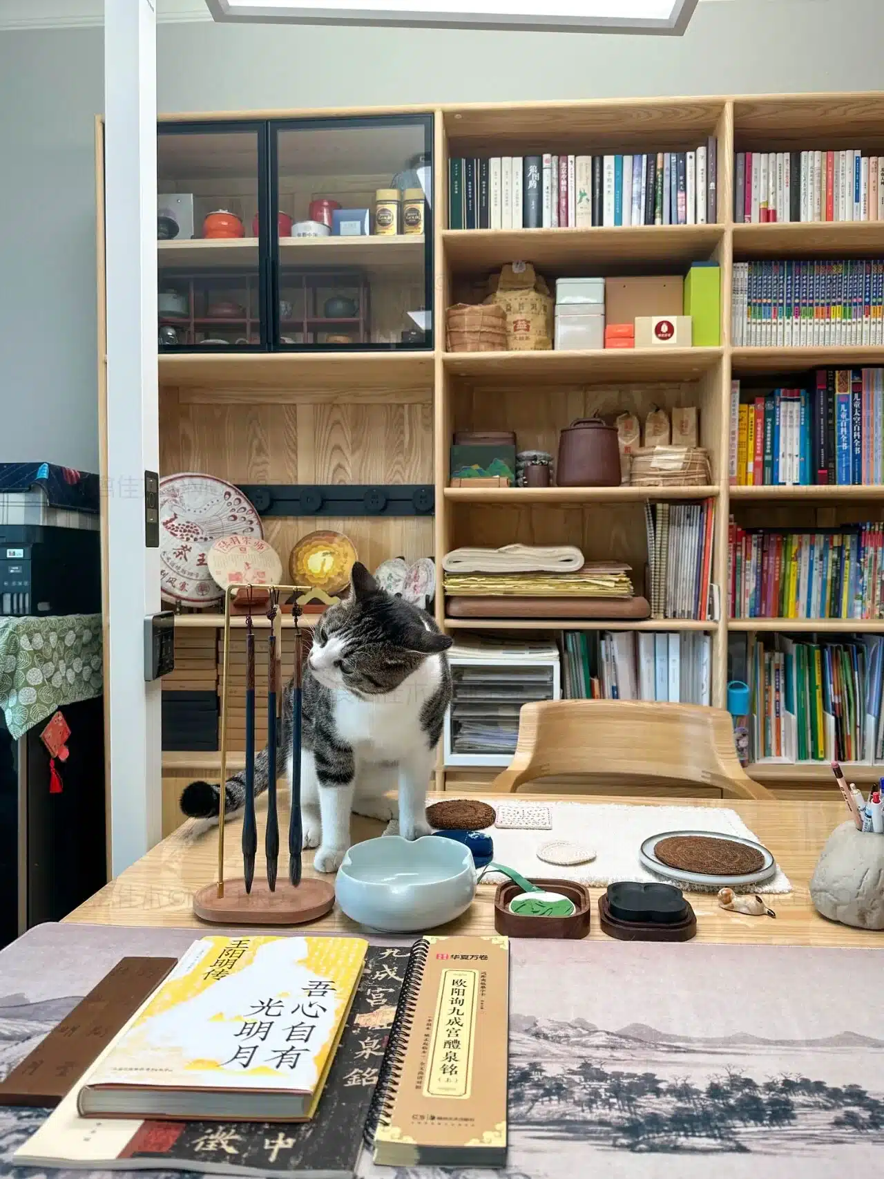 公众号原文图片