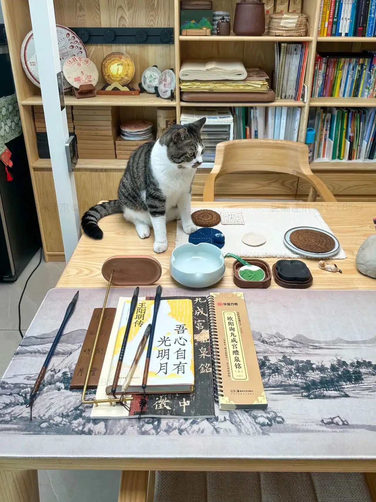 公众号原文图片