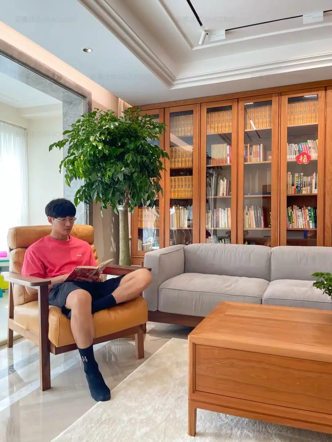 trusted_wechat_original_image_classified_primary_body