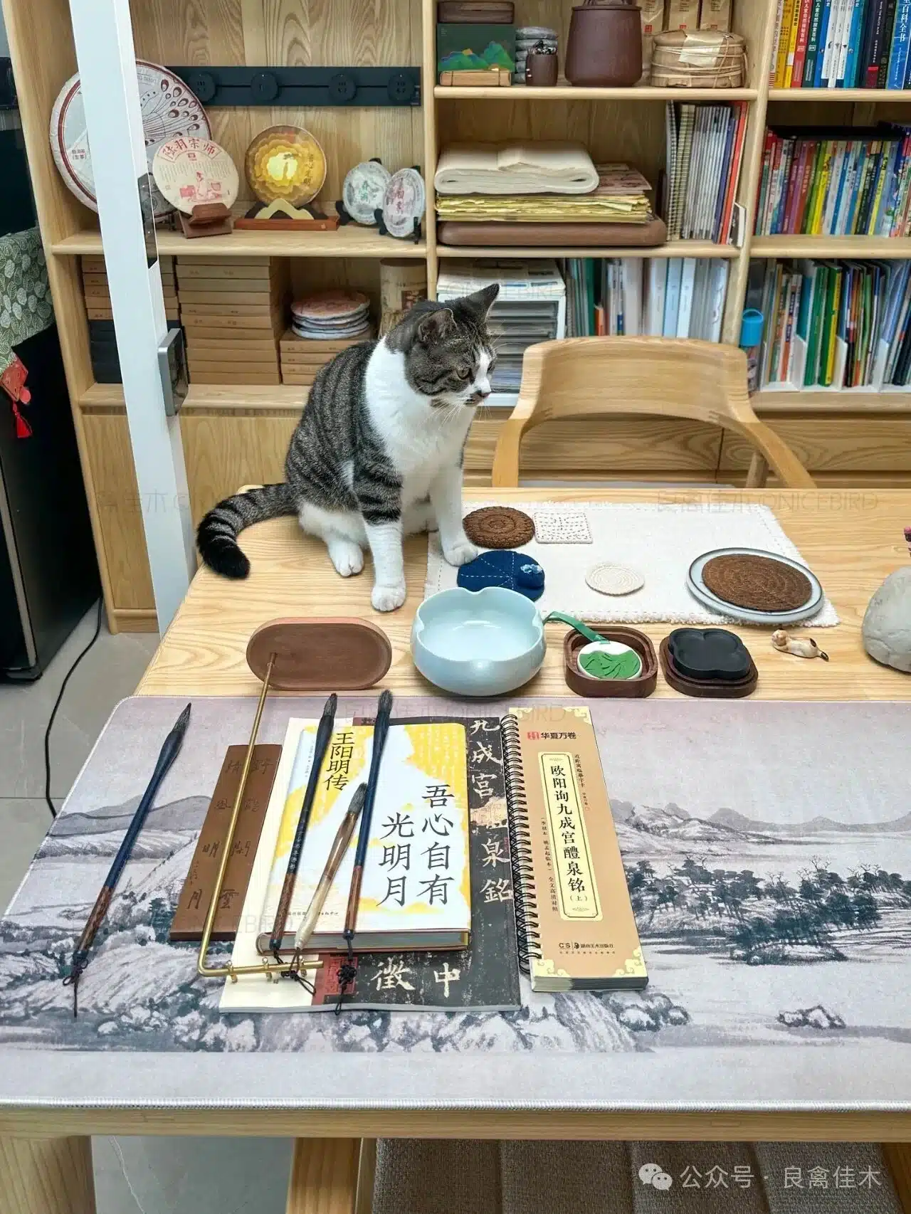 公众号原文图片