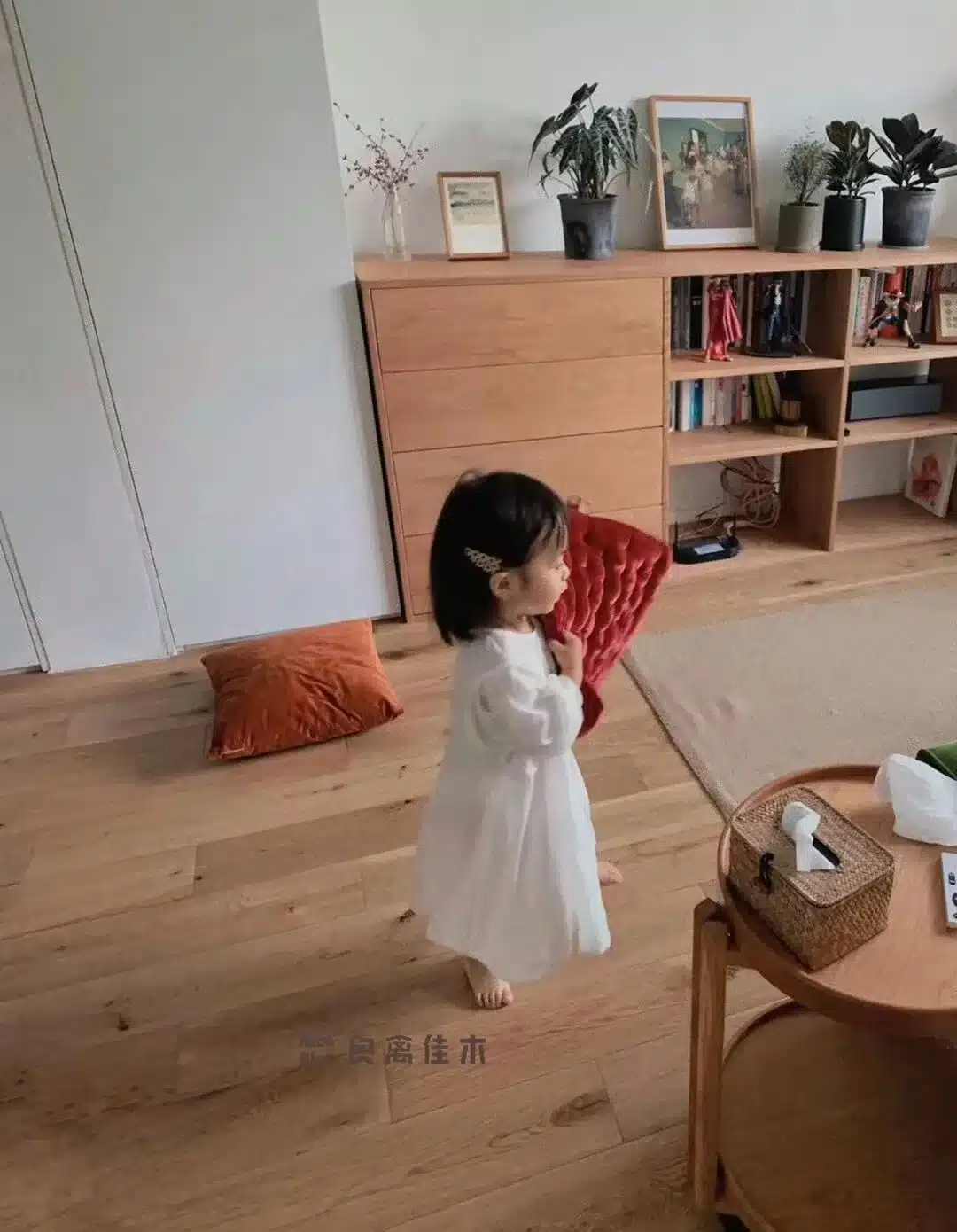 trusted_wechat_original_image_classified_primary_body