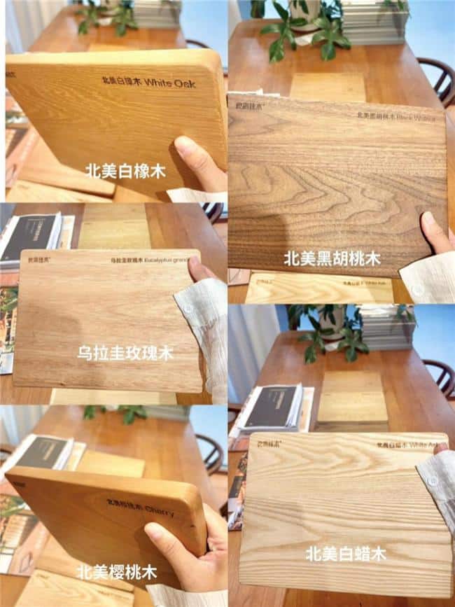 深度横评良禽佳木的 5 种原木，看完不再纠结 2